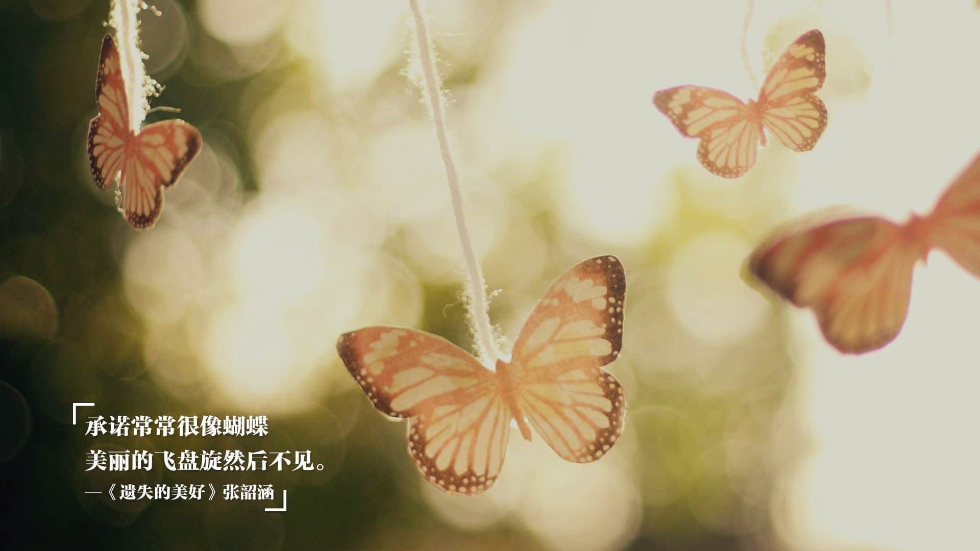 中超球队高位逼抢破绽对比，中超b组形势